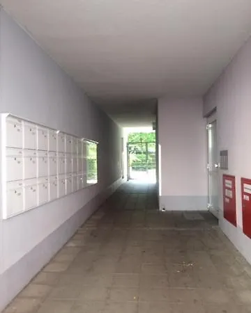 Homely Homestay *