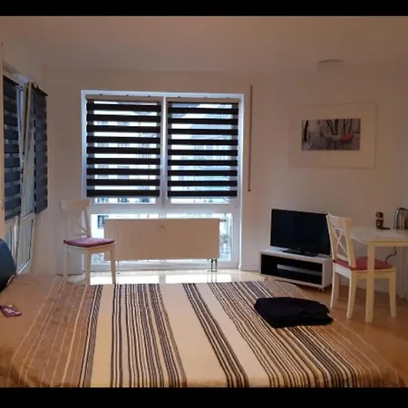 Homely Homestay *